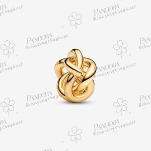 Pandora Infinity Knot Charm